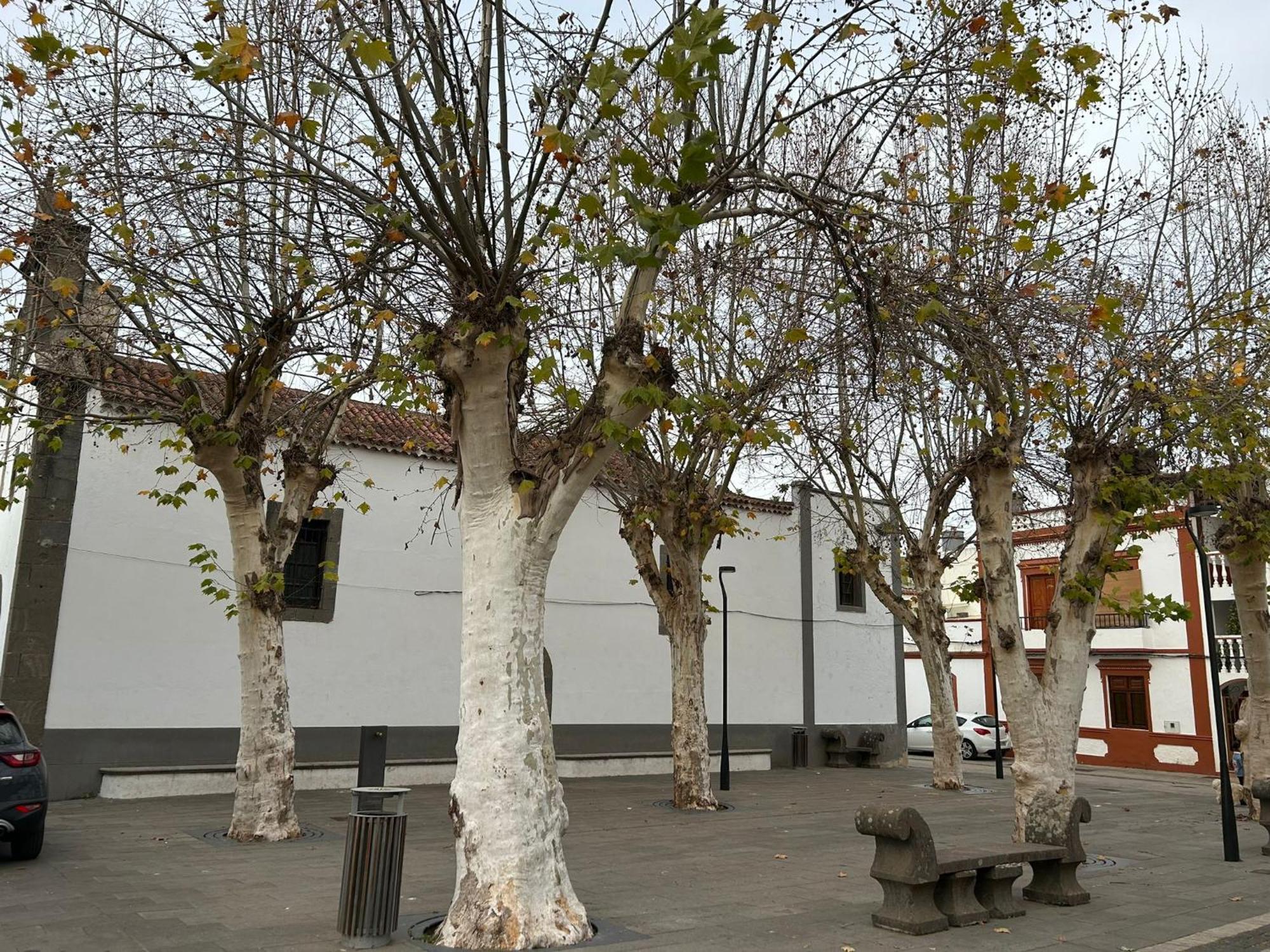 Apartament Vivienda Alpa Fontanales Agua de Fontanales Zewnętrze zdjęcie